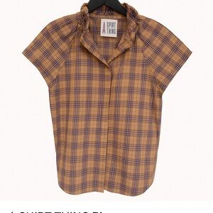 A Shirt Thing Plaid Blouse